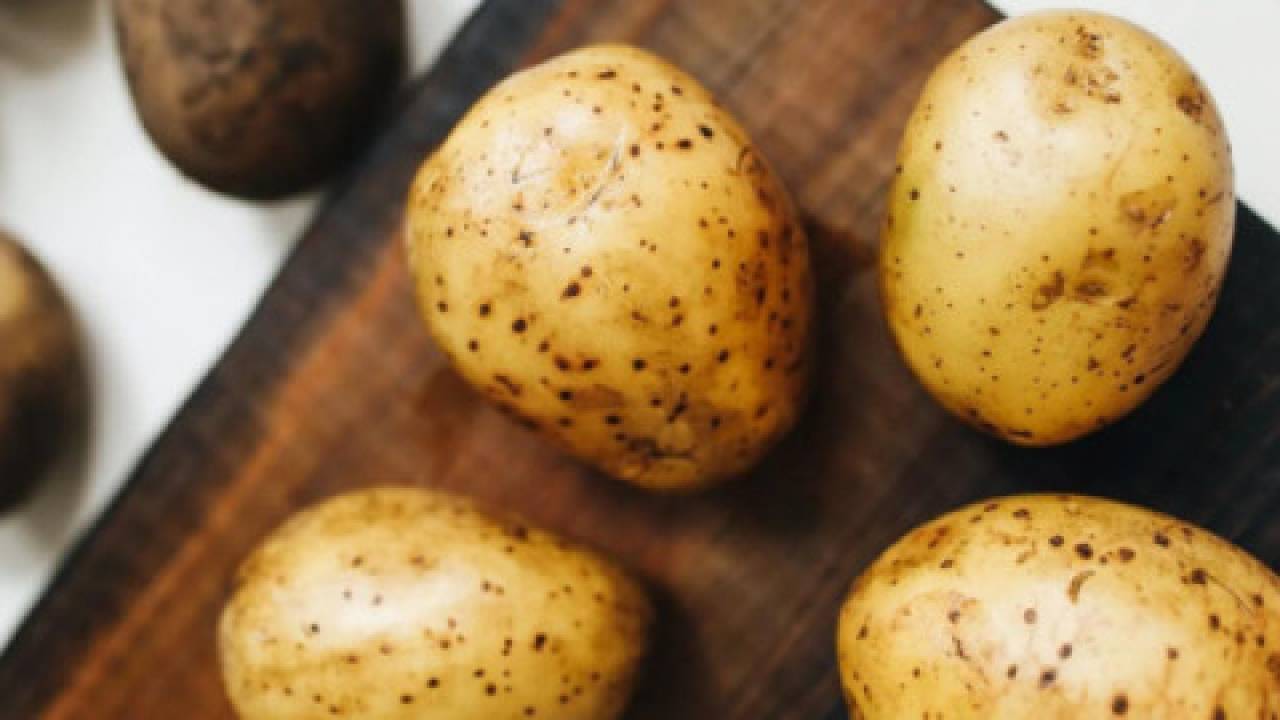 Ziemniaki Denar – najlepsza odmiana do mrożonek i sałatek