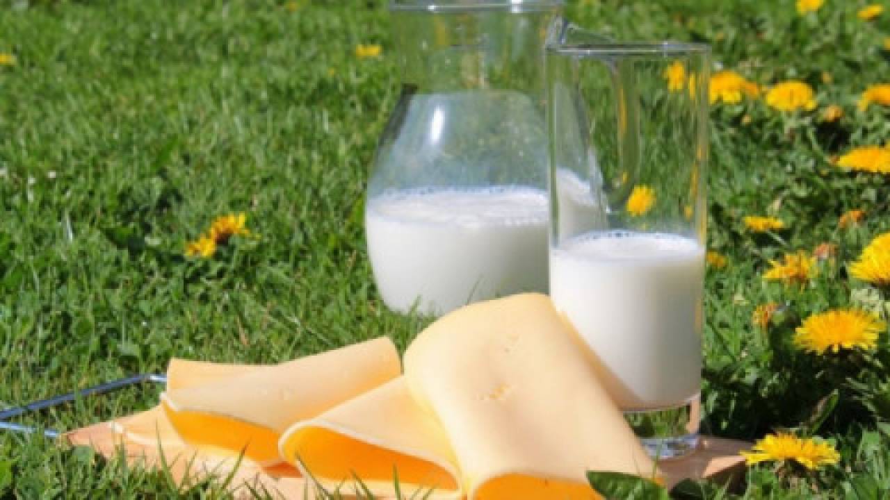 Produkty mleczne –  większy eksport mleka i śmietany 
