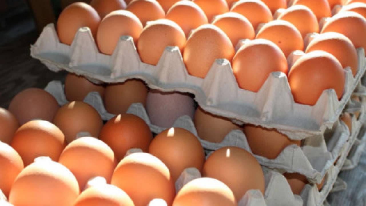 Produkcja jaj