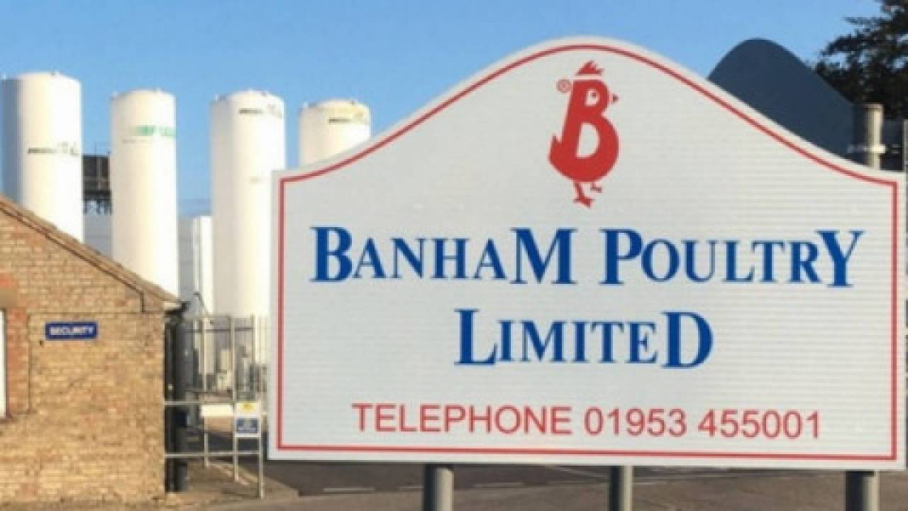 Banham Poultry