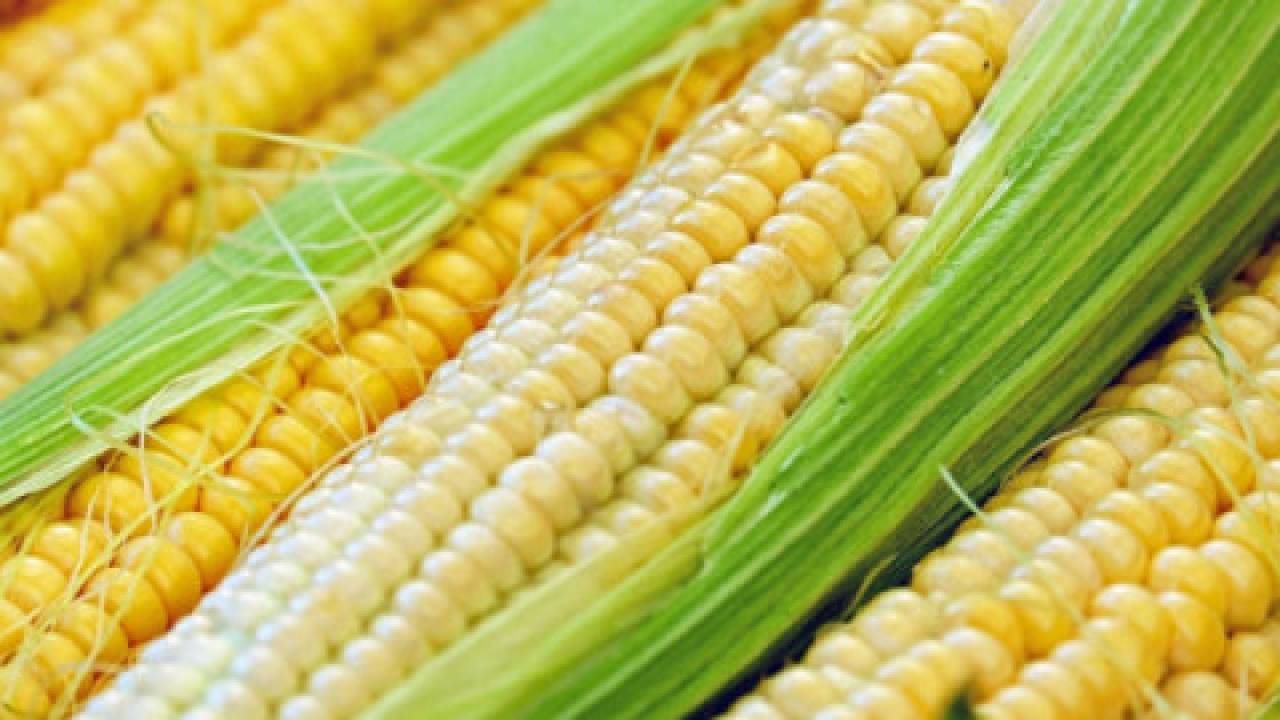 Ceny kukurydzy