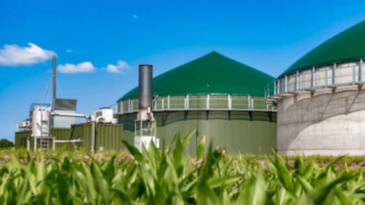 Sektor biogazu