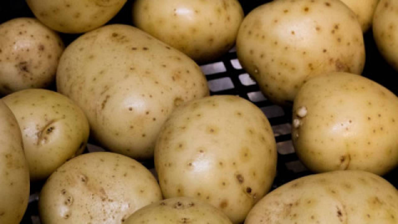 Typy kulinarne ziemniaków