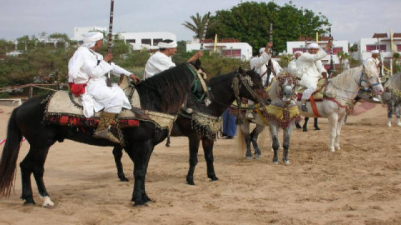 Koń berberyjski