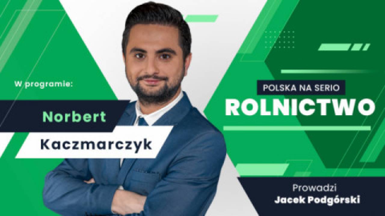 Polski rynek przetwórstwa