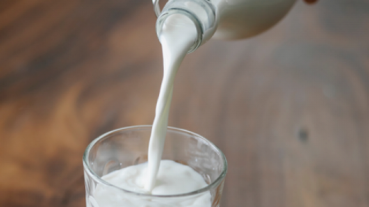 Produkcja mleka