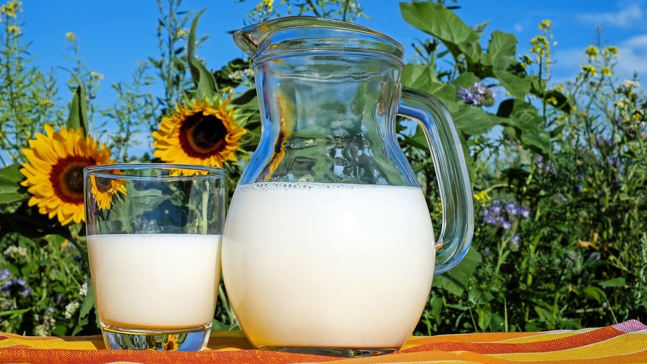 napoje roślinne mleko
