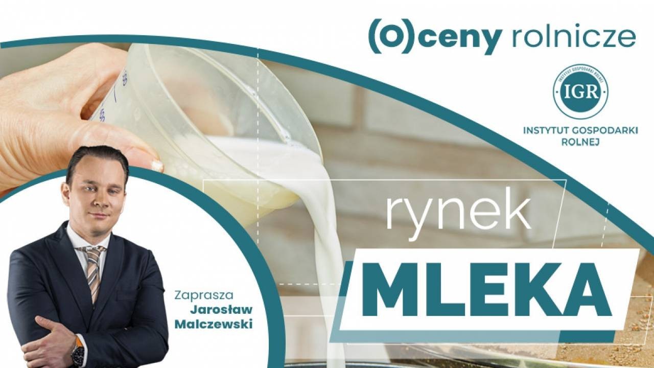 Ekspert: Australijscy hodowcy bydła mlecznego są wspierani przez rząd
