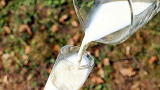 Fakty i mity o mleku