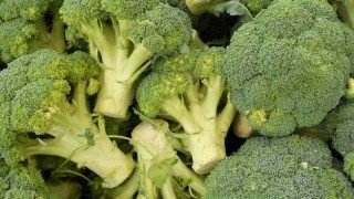 Jak sadzić brokuły